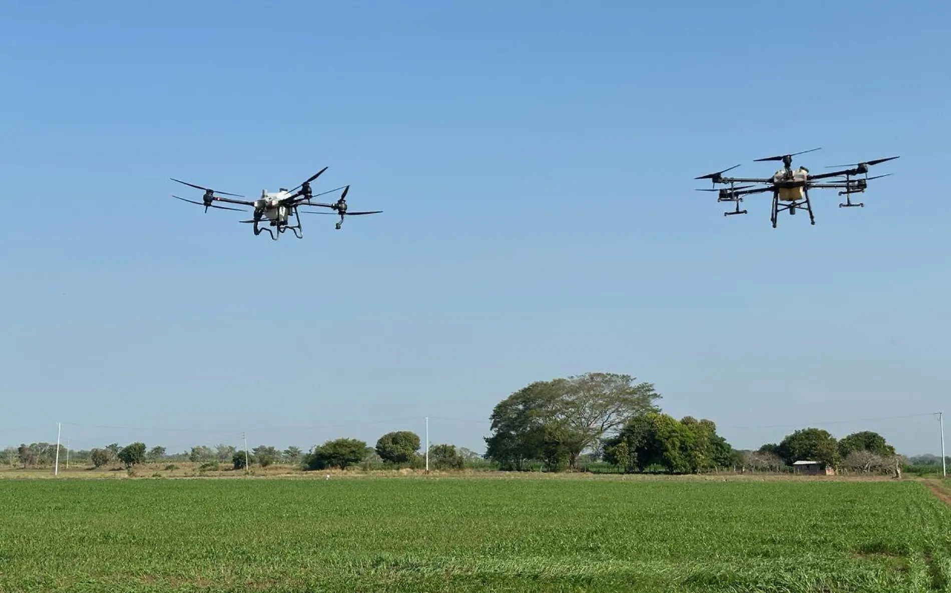 drones volando sobre campo